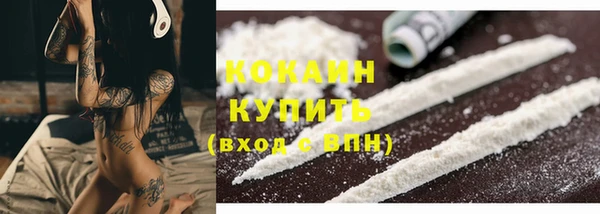 гашик Богданович