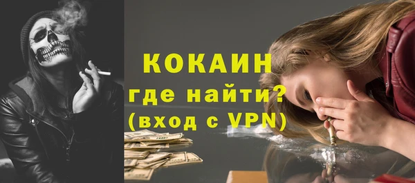 apvp Бородино