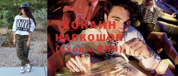 гашик Богданович