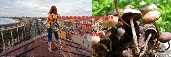 прущая мука Богородицк