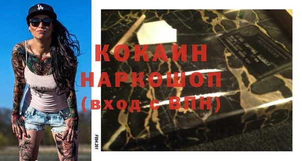 apvp Бородино