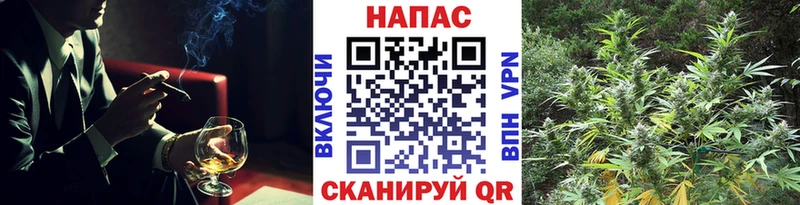 Конопля MAZAR  Купить где  Пласт 